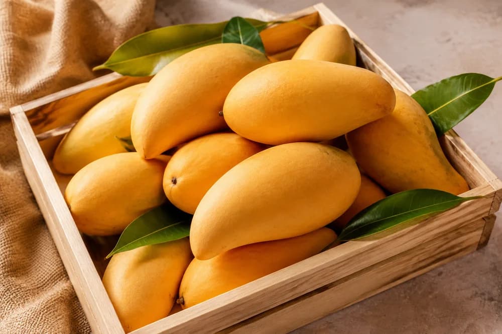 A wooden crate of ripe golden Kaew Kamin mangoes with fresh mango leaves